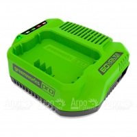Зарядное устройство Greenworks 60V в Санкт-Петербурге