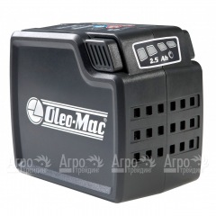 Аккумулятор Oleo-Mac 2.5 Ач 40 В в Санкт-Петербурге