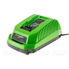 Зарядное устройство Greenworks G40C в Санкт-Петербурге