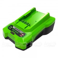 Зарядное устройство Greenworks G40C 40V в Санкт-Петербурге