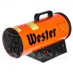 Газовая тепловая пушка Wester TG-20 в Санкт-Петербурге