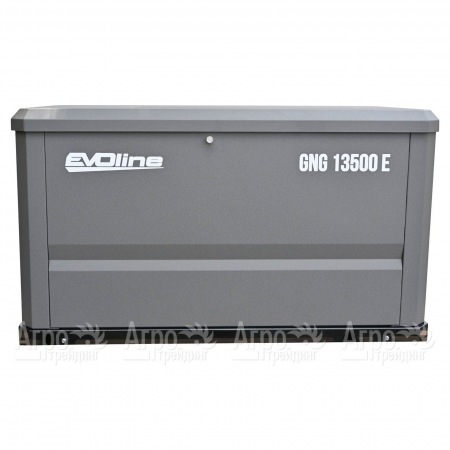 Газовый генератор EVOline GNG 13500 E 12 кВт  в Санкт-Петербурге