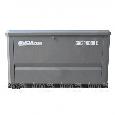 Газовый генератор EVOline GNG 19000 E 16 кВт  в Санкт-Петербурге