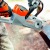Аккумуляторная пила Stihl MSA 140 C-BQ SET-12 в Санкт-Петербурге